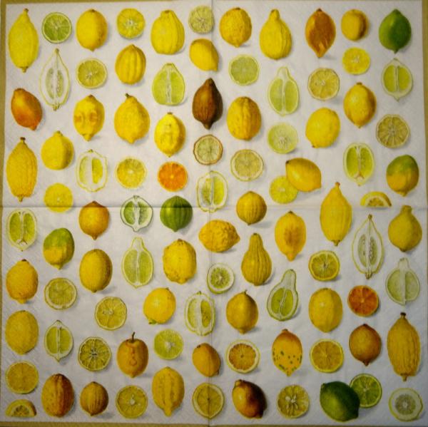 181 Lemons, Oranges - 3-ply